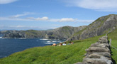 Steilkste bei St. Finian's Bay