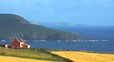 Tec's House in St. Finian's Bay